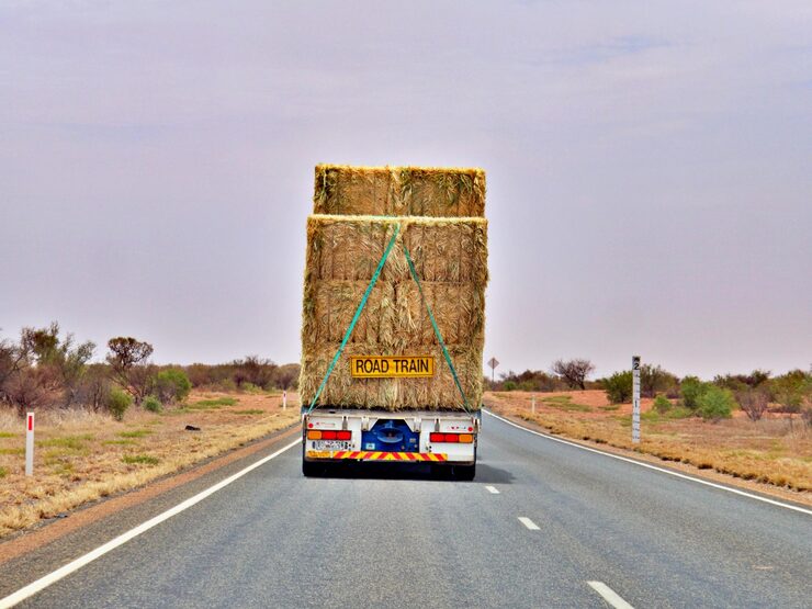 Cross-Border Routes We Operate Daily